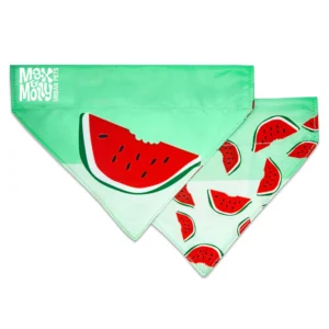 Max & Molly Bandana - Watermelon